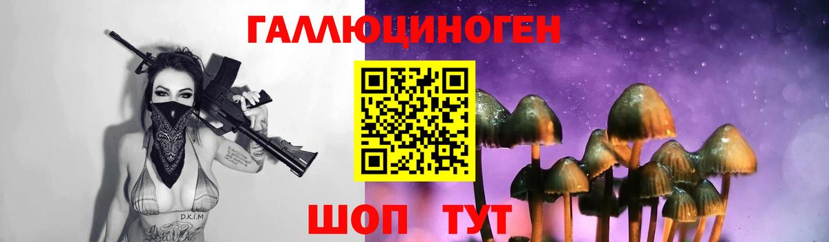 Крымск  Псилоцибиновые грибы Psilocybine cubensis  наркошоп  Вход с VPN 